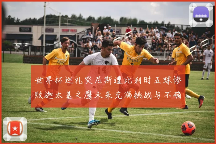 世界杯巡礼突尼斯遭比利时五球惨败迦太基之鹰未来充满挑战与不确定性